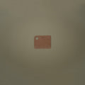 Everyday Dough Scraper